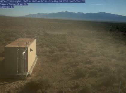 2026-05-19