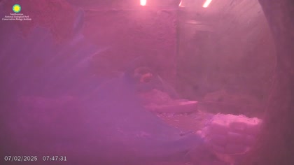 2025-07-02