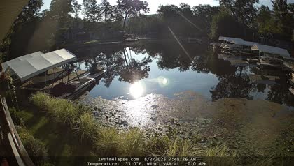 2025-08-02