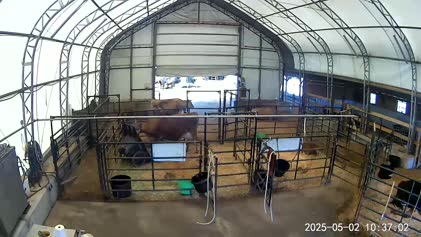 2025-05-03