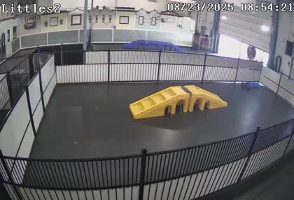 2025-08-23