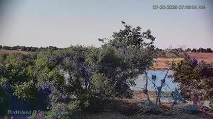 2026-07-20