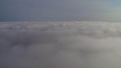 2025-07-31