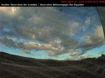 2025-08-12