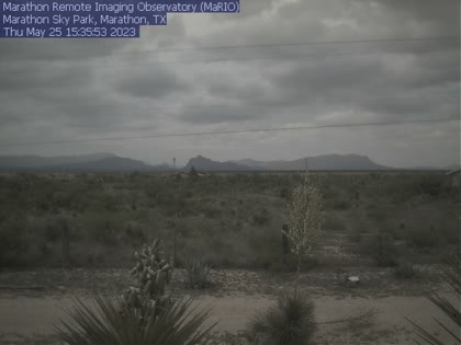 2025-09-01