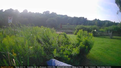 2025-08-09