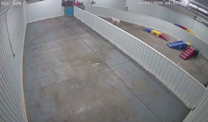 2025-06-07