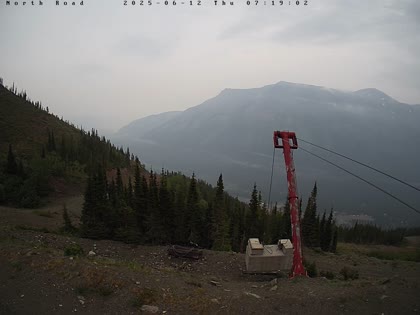 2025-06-12