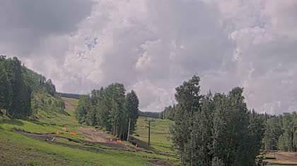 2025-07-03