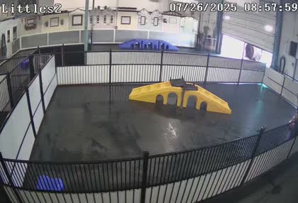 2025-07-26