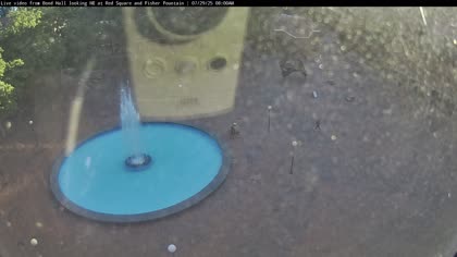 2025-07-29