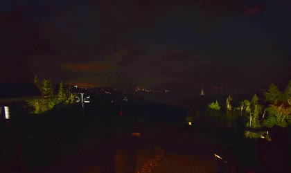 2025-06-08