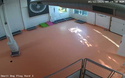 2025-05-12