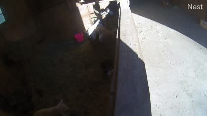 2025-10-06