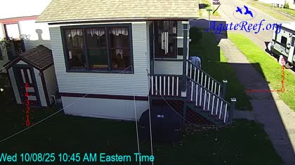 2025-10-08