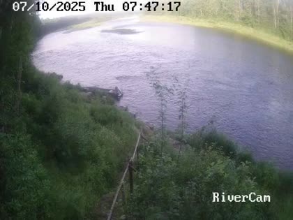 2025-07-10