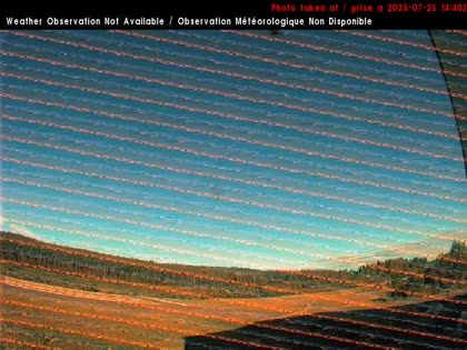 2025-07-25