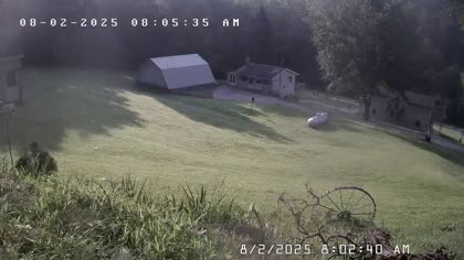 2025-08-02
