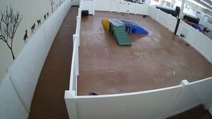 2025-06-12