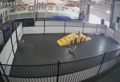 2025-09-05
