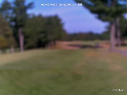 2025-07-08