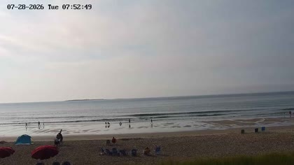 2026-07-28