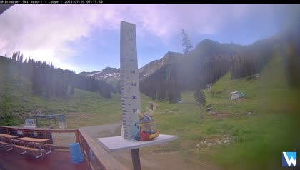 2025-07-09