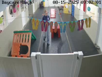 2025-08-15