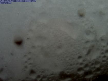 2025-08-07