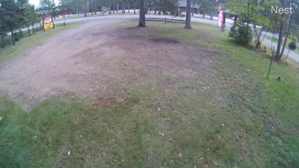 2025-10-10