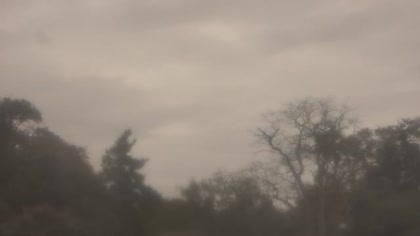 2025-10-12