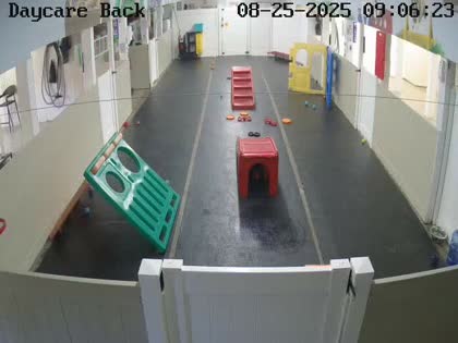 2025-08-25