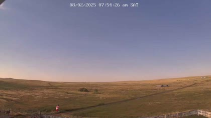 2025-08-02
