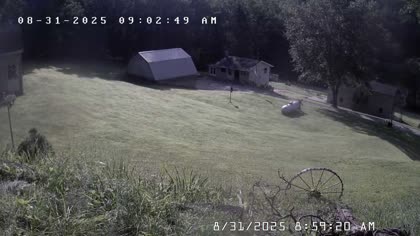 2025-08-31