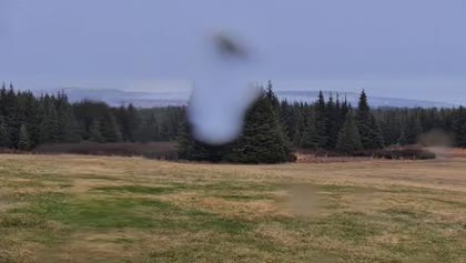 2026-05-20