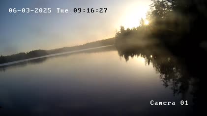 2025-06-03
