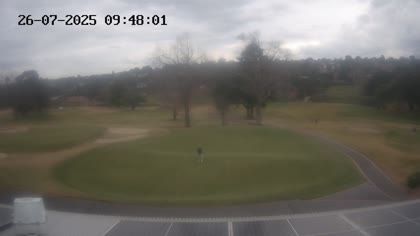 2025-07-26