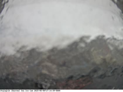 2025-06-09