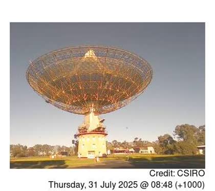 2025-07-31