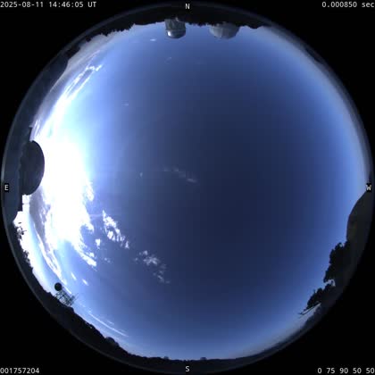 2025-08-11