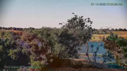 2026-07-14