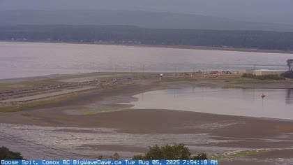 2025-08-05