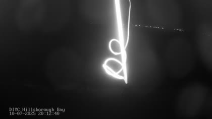 2025-10-08
