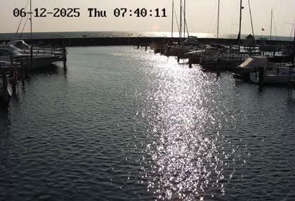 2025-06-12