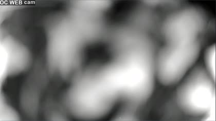 2025-06-29