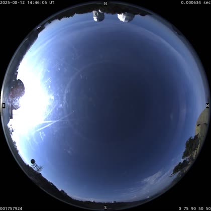 2025-08-12