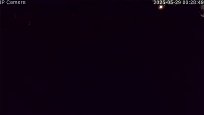 2025-05-29