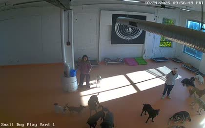 2025-10-24