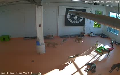 2025-10-10