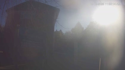 2025-10-10